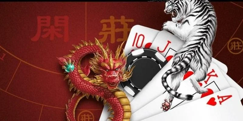cách chơi rồng hổ