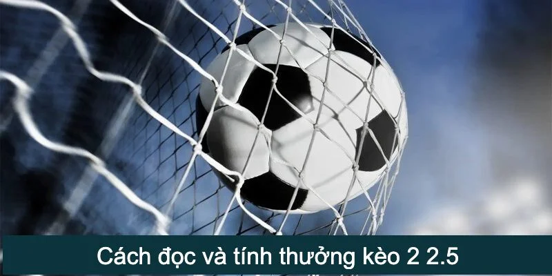 Chỉ dẫn cách đọc và tính tiền thưởng tại 69vn