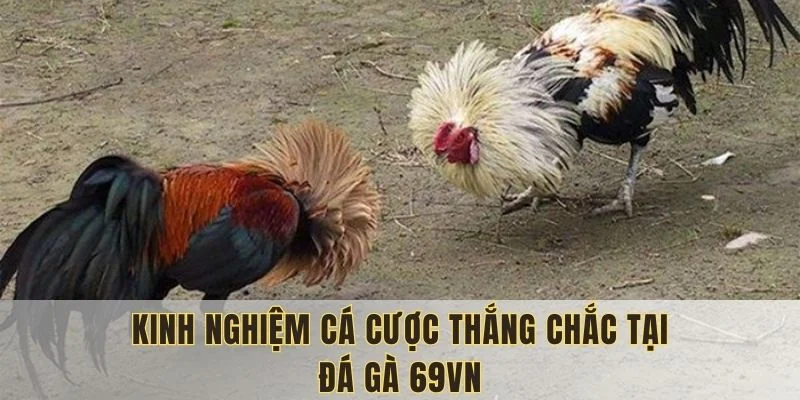 Vận dụng linh hoạt để tối ưu lợi nhuận