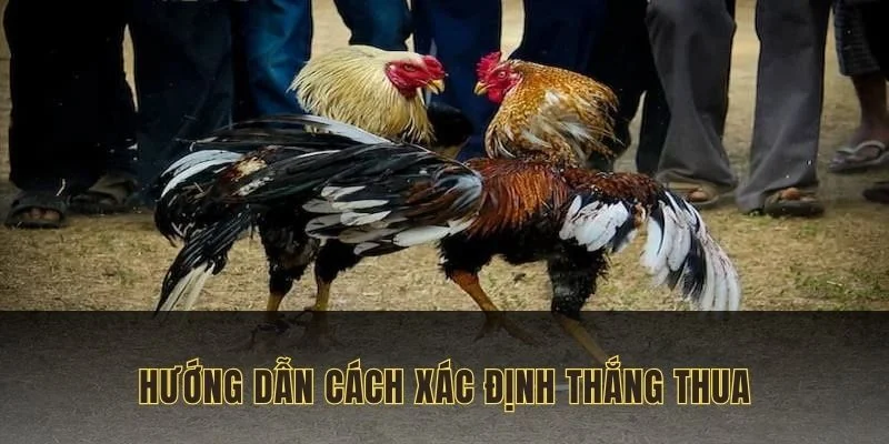 Các nguyên tắc xác định thắng thua trong trận đấu