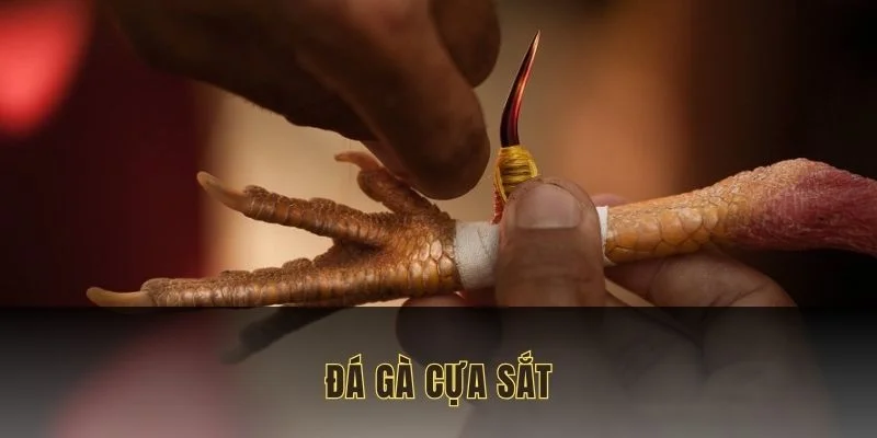 đá gà cựa sát