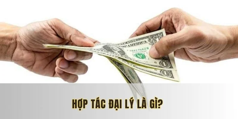Tìm hiểu chi tiết về chương trình hợp tác đại lý
