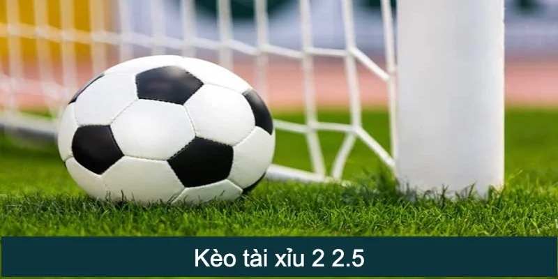 kèo tài xỉu 2 2.5
