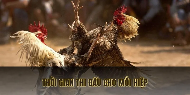 Thời gian diễn ra trong mỗi hiệp đấu