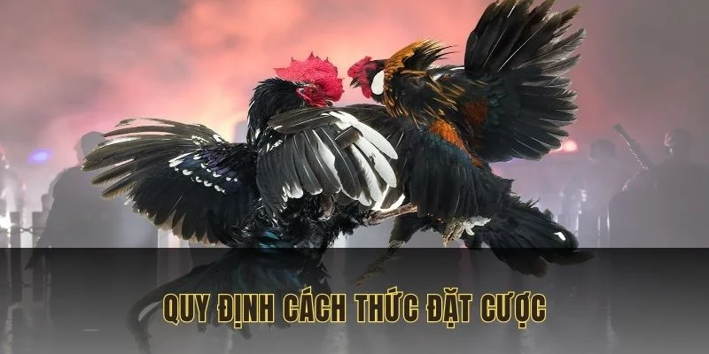 Quy định cách thức đặt cược và thời gian cho mỗi trận
