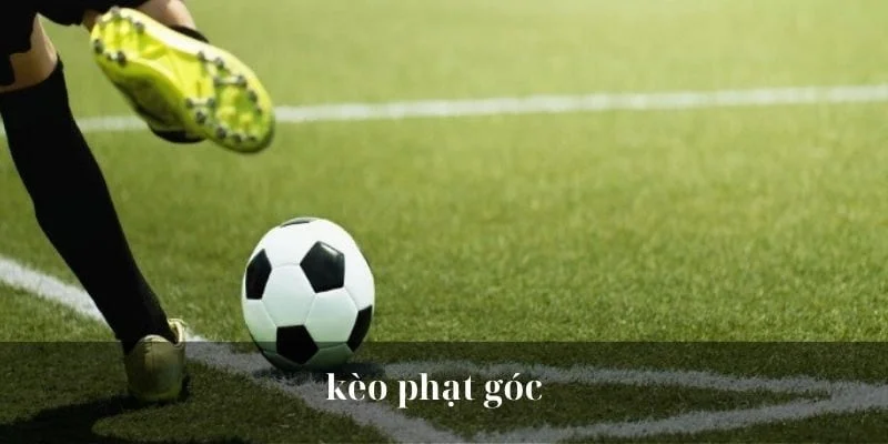 soi kèo phạt góc hôm nay