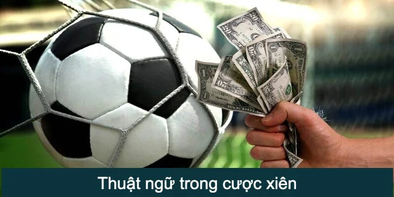 Tổng hợp các thuật ngữ hiện diện trong cược xiên
